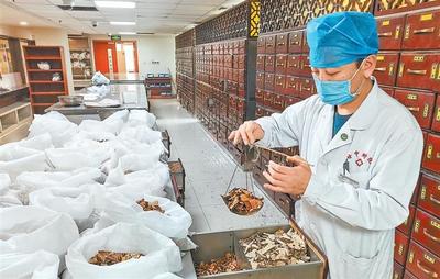 传承中医精华 实现创新进步——甘肃省全力推动中医药产业高质量发展纪实